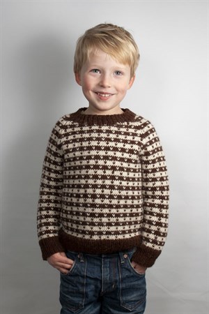 071 CHILDREN'S SWEATER WITH LICE ENG PRINT