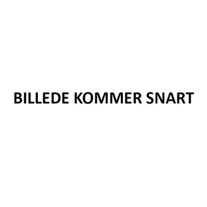 7820 BLOMME SNEFNUG RWS